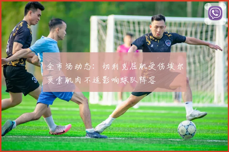 全市场动态：切利克屈肌受伤埃尔莫索肌肉不适影响球队阵容
