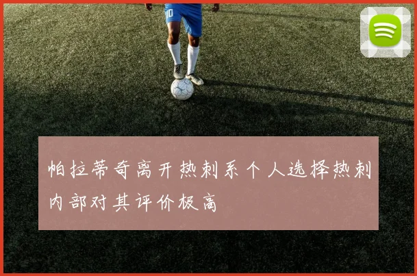 帕拉蒂奇离开热刺系个人选择热刺内部对其评价极高