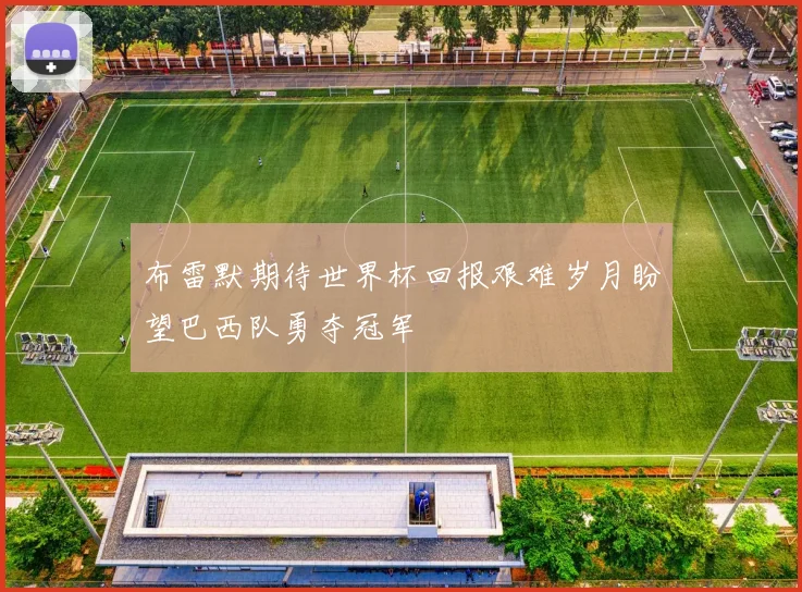 布雷默期待世界杯回报艰难岁月盼望巴西队勇夺冠军