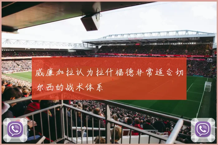 威廉加拉认为拉什福德非常适合切尔西的战术体系