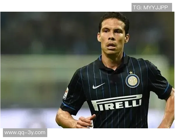 埃尔纳内斯：国米前锋助力胜利尤文在关键时刻缺乏火力支持